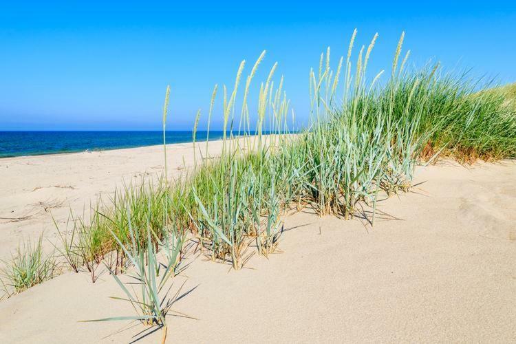 Luxury Apartament B 203 Polanki Park Basen&Spa Kołobrzeg Eksteriør bilde